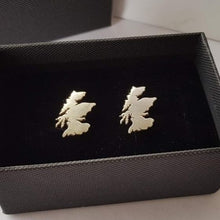 Load image into Gallery viewer, Alba - Scotland Map Cufflinks